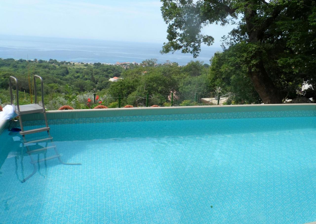 Pataki Guesthouse Petrovac Kültér fotó