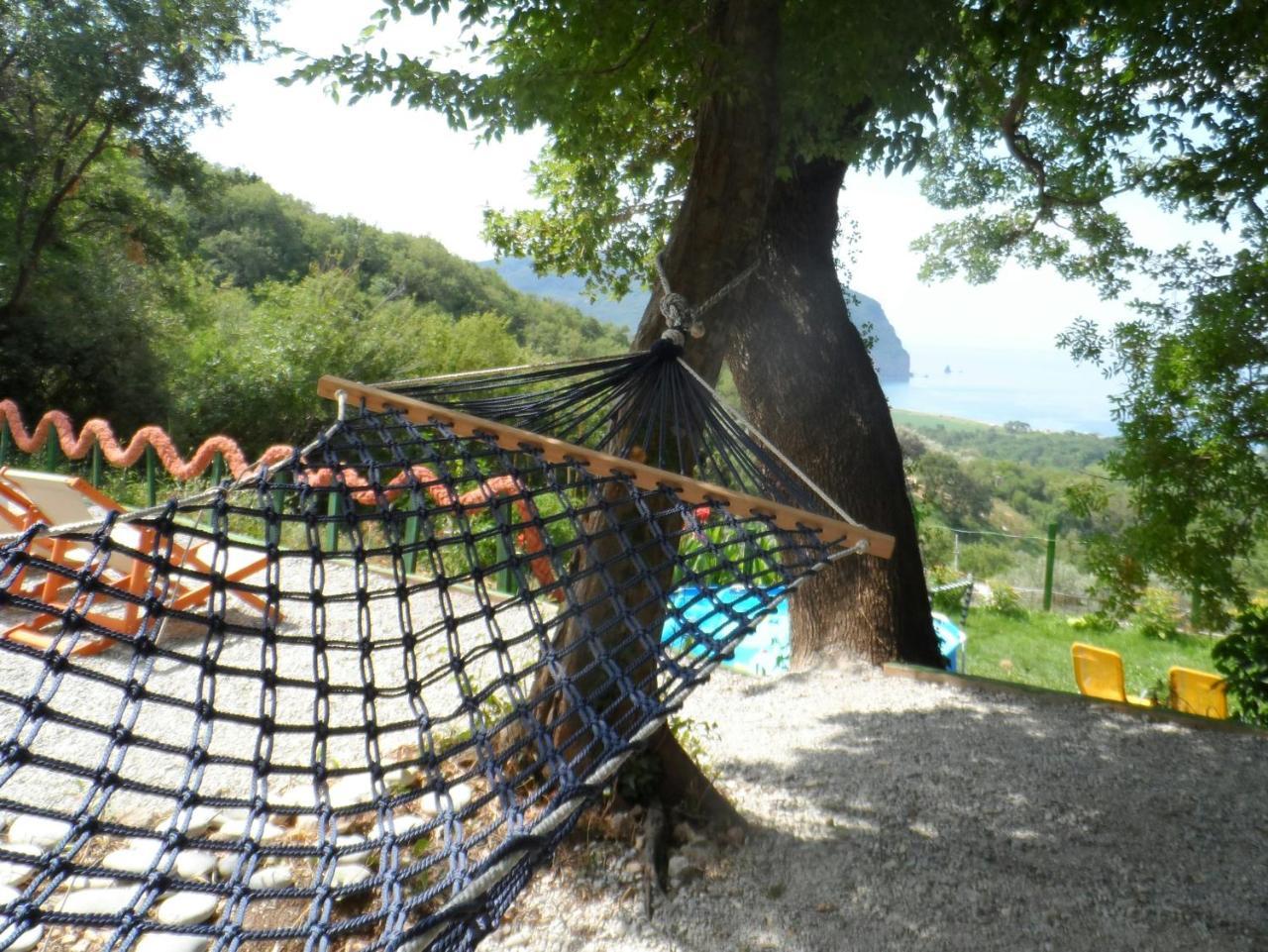 Pataki Guesthouse Petrovac Kültér fotó