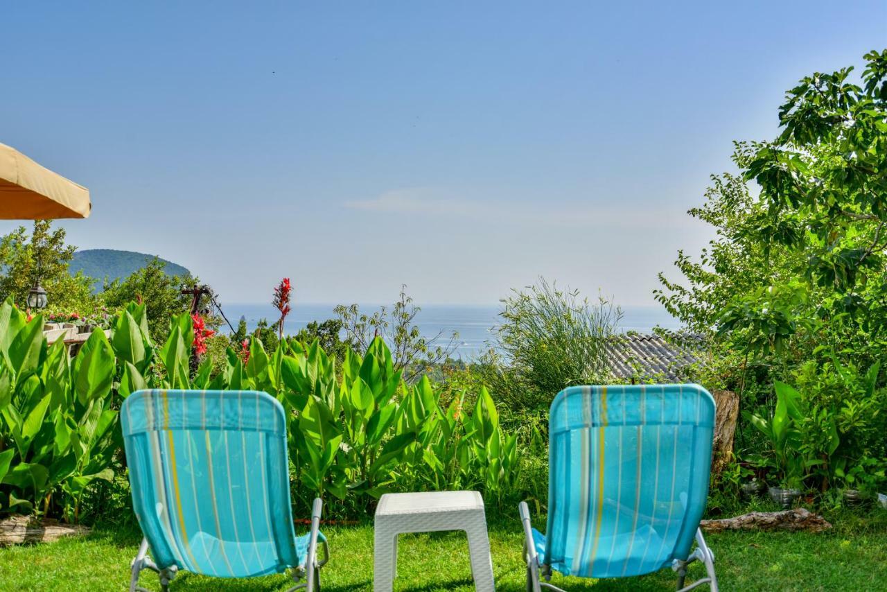 Pataki Guesthouse Petrovac Kültér fotó