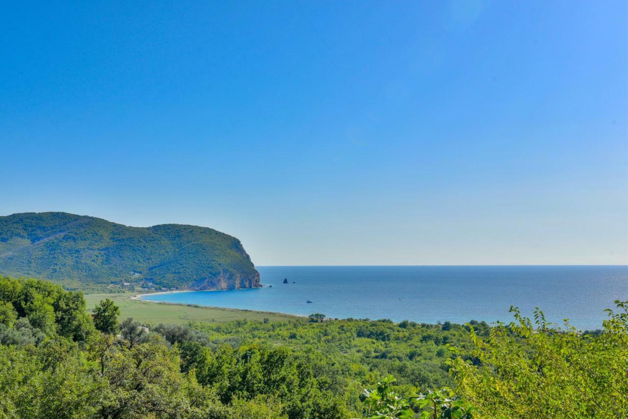 Pataki Guesthouse Petrovac Kültér fotó