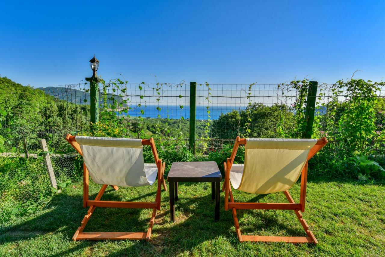 Pataki Guesthouse Petrovac Kültér fotó