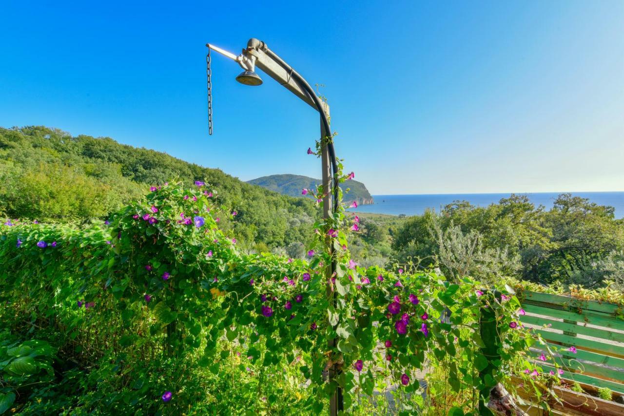 Pataki Guesthouse Petrovac Kültér fotó