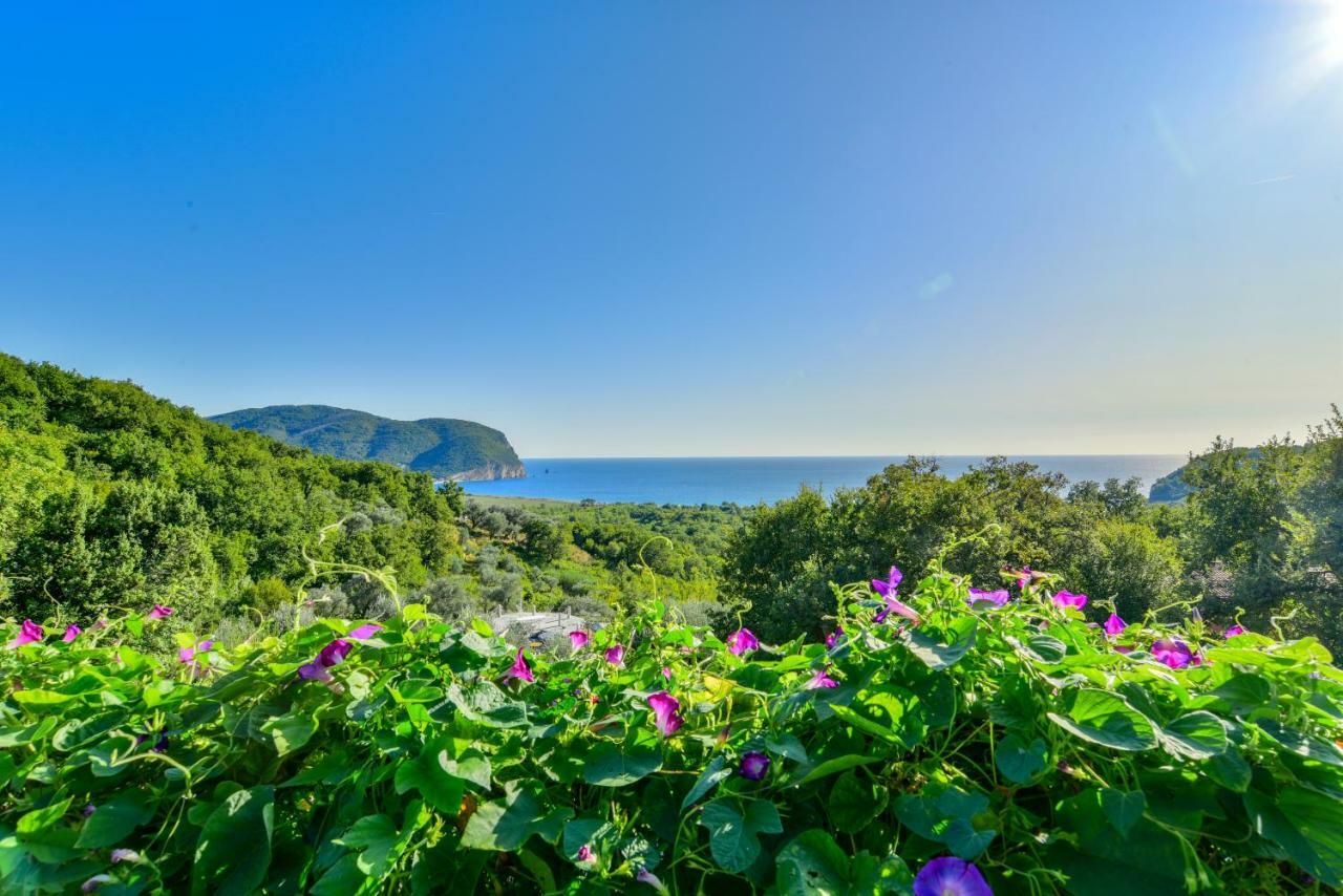Pataki Guesthouse Petrovac Kültér fotó