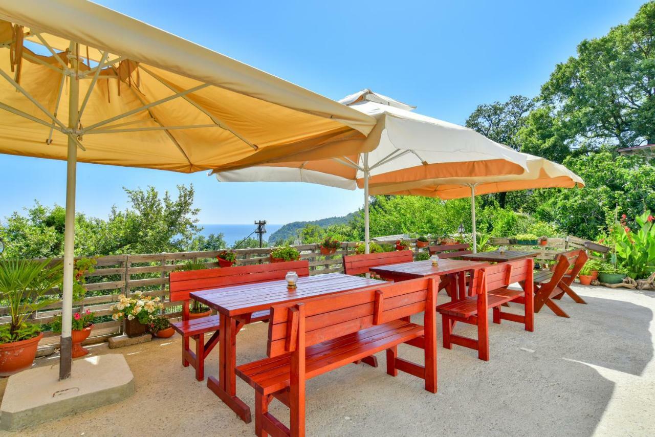 Pataki Guesthouse Petrovac Kültér fotó